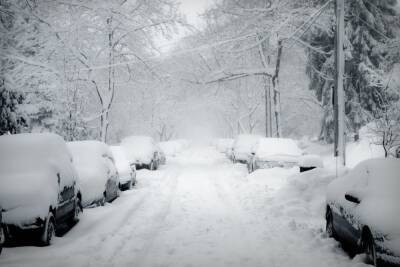 Сильный мокрый снег снова накроет Мурманскую область в ночь на 20 января