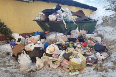 Для уставших от гор мусора петербуржцев запустили дополнительную горячую линию