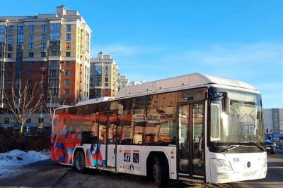 Для жителей Кудрово запустили 19 новых автобусов