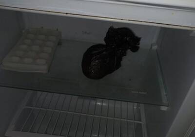 Полицейские обнаружили в холодильнике рязанца более 70 граммов «синтетики»