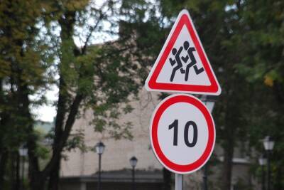 В Белгородской области усилят профилактику детской смертности на дорогах