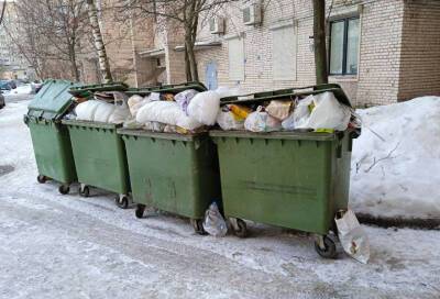 Петербуржцы смогут вернуть деньги за некачественную уборку мусора за этот месяц