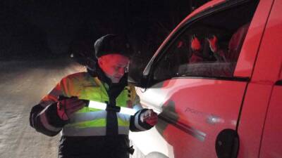 В новогоднюю ночь на Сахалине задержали 28 нетрезвых водителей