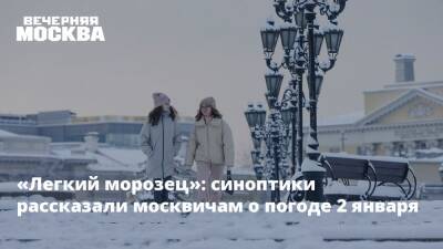 «Легкий морозец»: синоптики рассказали москвичам о погоде 2 января