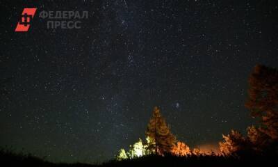Россияне увидят новогодний звездопад 3 января