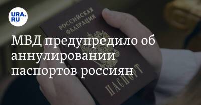 МВД предупредило об аннулировании паспортов россиян