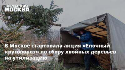В Москве стартовала акция «Елочный круговорот» по сбору хвойных деревьев на утилизацию