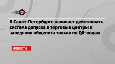 В Санкт-Петербурге начинает действовать система допуска в торговые центры и заведения общепита только по QR-кодам