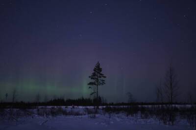 Первое в новом году северное сияние наблюдали жители Всеволожского района — фото