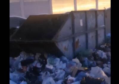 Видео: Новое Девяткино в Мурино утопает в мусоре. В этот раз виновата не УК