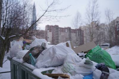 Петербуржцы вынуждены вместо Смольного решать проблемы с мусорными...