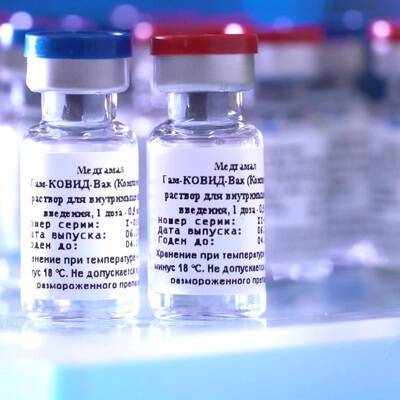 Москва видит обнадеживающие сигналы в вопросе признания ВОЗ вакцины Спутник V