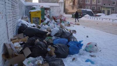 Санкт-Петербург продолжает «тонуть» в мусорных завалах из-за бездействия властей