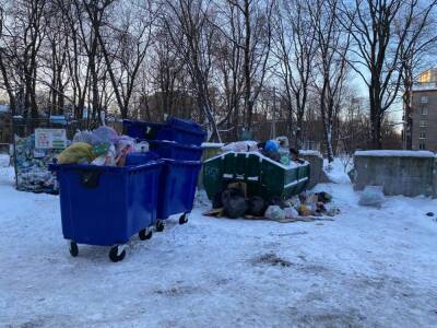 Жители Петербурга жалуются на переполненные контейнеры с мусором