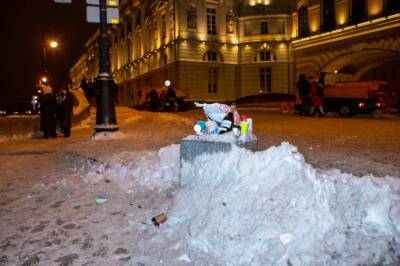 Жители Петербурга указали на горы снега и мусора в центре города