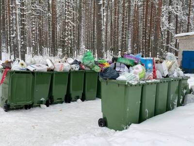 «2022 год только начался, а вы уже не „вывозите“»: жители Петербурга жалуются на свалки мусора