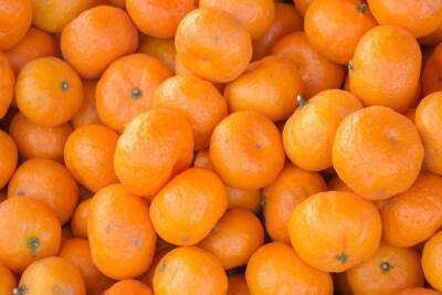Более 125 тысяч тонн марокканских мандаринов ввезли в Петербург и Ленобласть в 2021-м