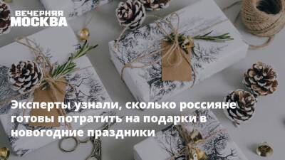 Эксперты узнали, сколько россияне готовы потратить на подарки в новогодние праздники