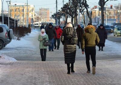 В ночь на 3 января в Рязанской области похолодает до -17 °С