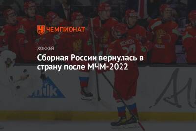 Сборная России вернулась в страну после МЧМ-2022