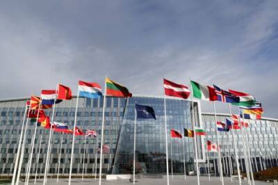 Эксперт назвал заявления Финляндии о вступлении в НАТО риторикой