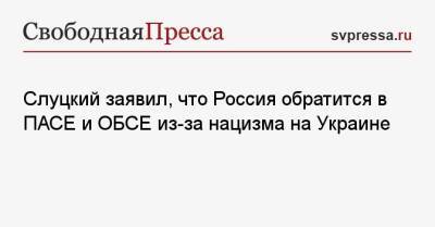 Слуцкий заявил, что Россия обратится в ПАСЕ и ОБСЕ из-за нацизма на Украине