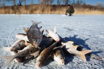 Зимняя рыбалка: без чего не обойтись и правила безопасности