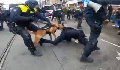На протестующих против ковидных ограничений в Амстердаме спустили собак