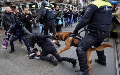 Разгон протеста в Амстердаме: копы спустили собак - korrespondent.net - Украина - Амстердам - Амстердам - Протесты