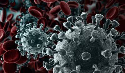Третий год с вирусом: ученые подводят итоги двух лет пандемии и делают прогнозы
