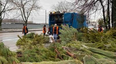 В Одессе продавцы бросили на улице тысячи елок