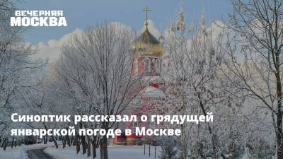 Синоптик рассказал о грядущей январской погоде в Москве