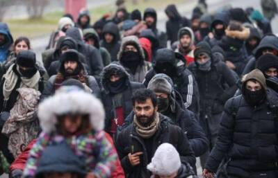 Литва отправила в Ирак самую большую группу нелегальных мигрантов - 98 человек