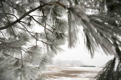 МЧС предупредило жителей Волгоградской области о морозе до -24°С