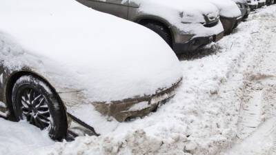 Мороз и снегопад: синоптик рассказал о погоде в Москве на следующей неделе