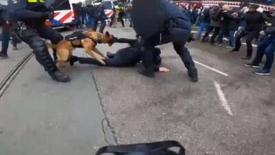 Протестующих против локдауна в Амстердаме избивали дубинками и травили собаками (видео) - lenta.ua - Украина - Бельгия - Голландия - Амстердам - Amsterdam - Амстердам - Протесты