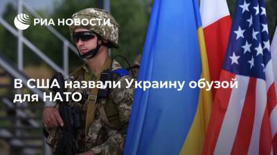 Американский эксперт Эрлих назвал Украину обузой для НАТО