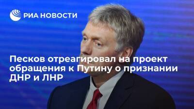 Пресс-секретарь Песков: Кремль не видел проекта обращения к Путину о признании ДНР и ЛНР