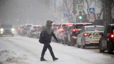 Гидрометцентр прогнозирует небольшой снегопад в Москве 20 января