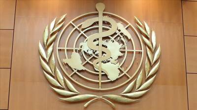 «Не эффективно»: в ВОЗ призвали снять ограничения на международные поездки во время пандемии - Русская семерка