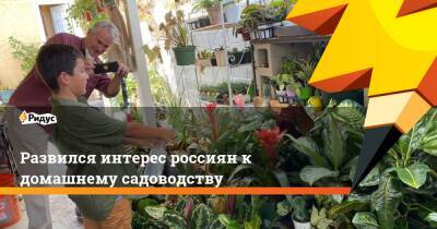 Развился интерес россиян к домашнему садоводству