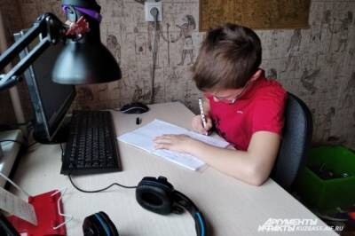 Ученики Хабаровского края учатся онлайн из-за морозов в школе