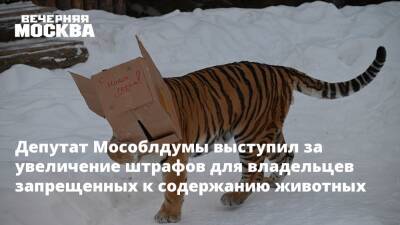 Депутат Мособлдумы выступил за увеличение штрафов для владельцев запрещенных к содержанию животных
