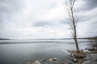Свердловские власти собираются сделать озеро Шарташ пригодным для купания
