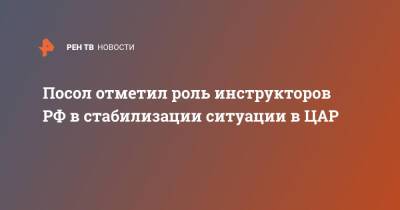 Посол отметил роль инструкторов РФ в стабилизации ситуации в ЦАР