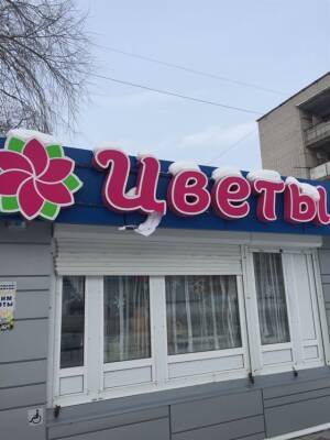 В Ульяновске хулиганы повредили цветочный киоск. Подозреваемые задержаны