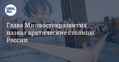 Глава Минвостокразвития назвал арктические столицы России
