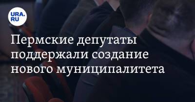 Пермские депутаты поддержали создание нового муниципалитета