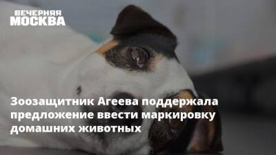 Зоозащитник Агеева поддержала предложение ввести маркировку домашних животных