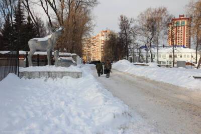 Замглавы администрации Рязани Ясинский проверил уборку снега в ЦПКиО